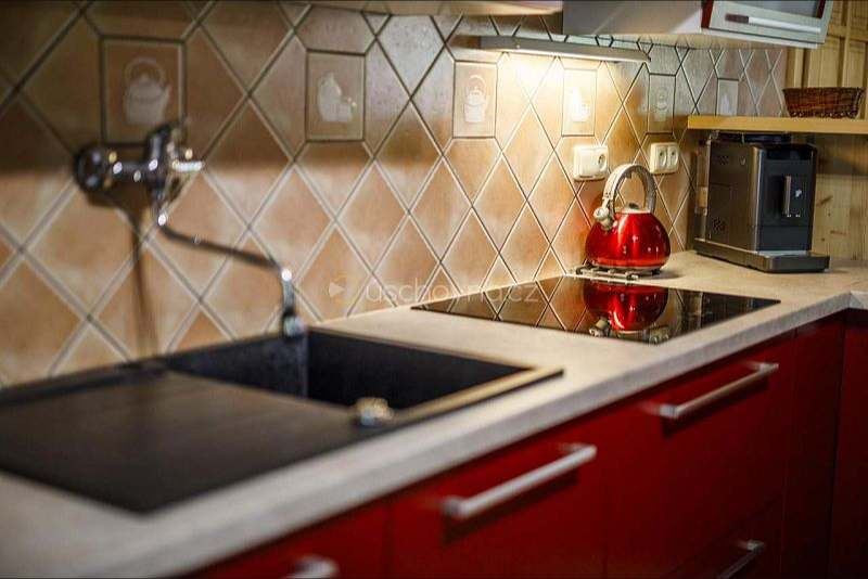 Chata Chalet Horní Orlice — zdjęcie 5