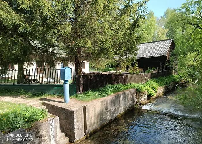 Podlesok 697 — zdjęcie 1